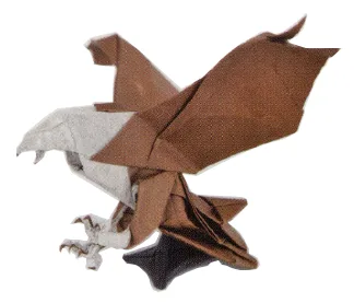 Raptor
