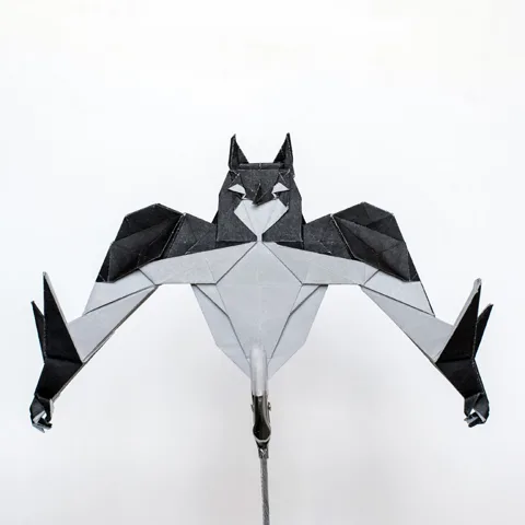 Caped Hero