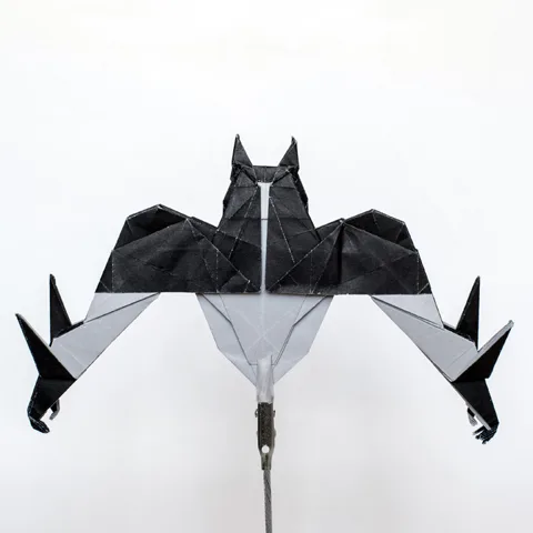 Caped Hero