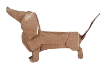 Dachshund