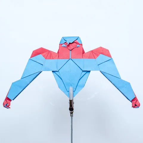 Caped Hero