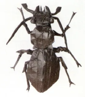 Carabus