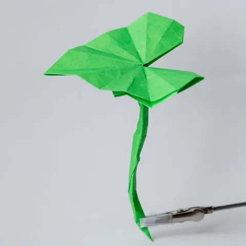 Single Leaf