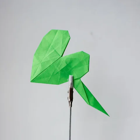Single Leaf