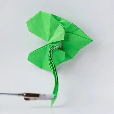 Single Leaf