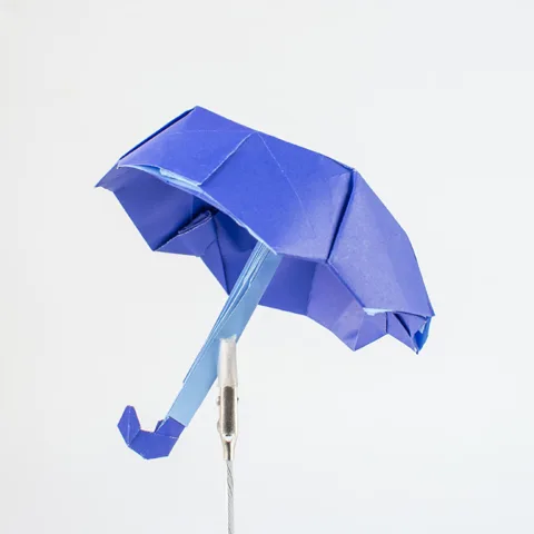 Umbrella v2