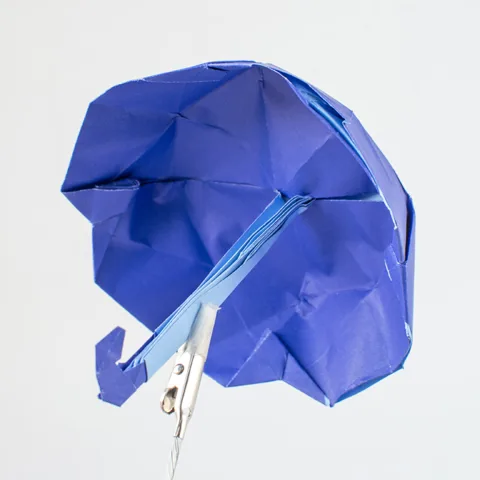 Umbrella v2