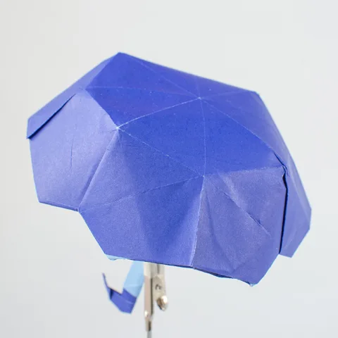 Umbrella v2