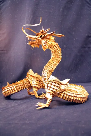 Dragon modular