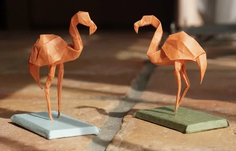 Flamingo