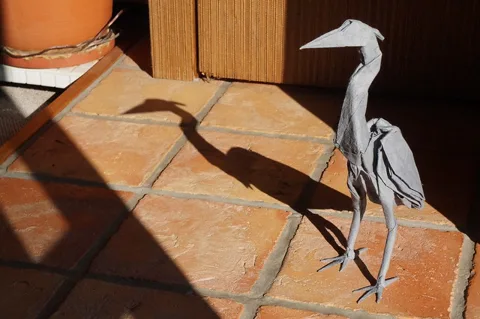 Grey Heron