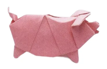 Pig