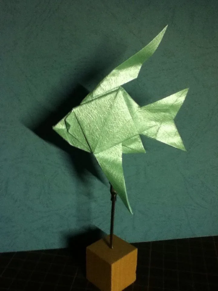 Angelfish