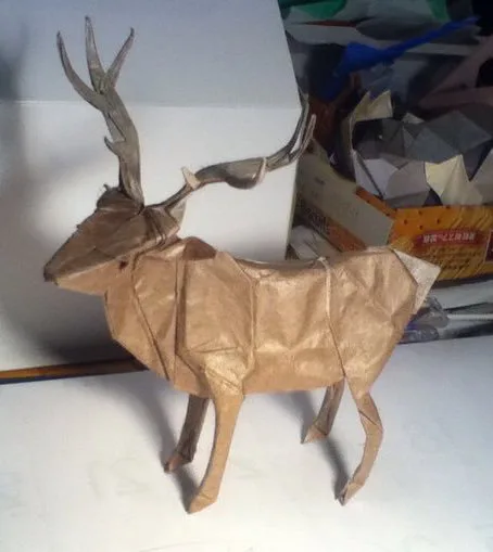 Deer