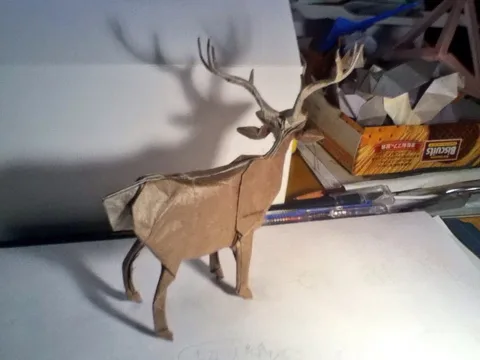 Deer