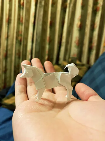 Dog