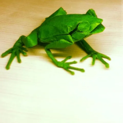 Frog