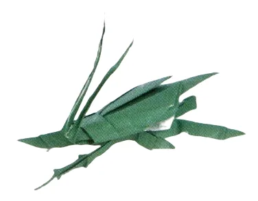 Katydid