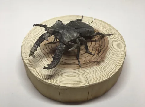 Lucanus Maculifemoratus