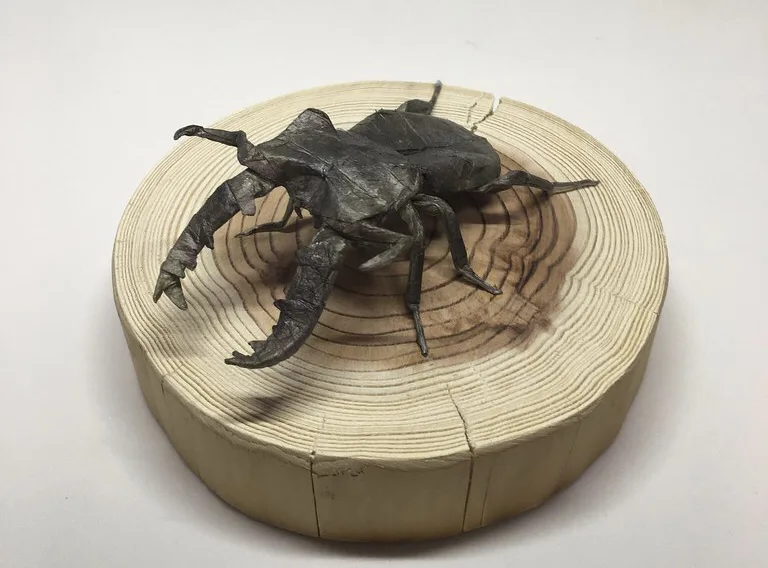 Lucanus Maculifemoratus