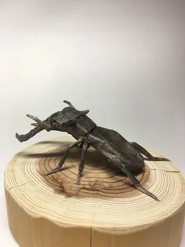 Lucanus Maculifemoratus
