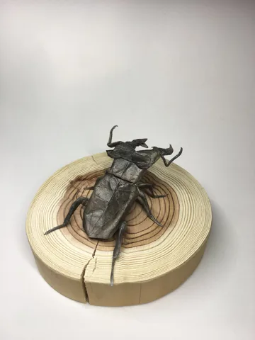 Lucanus Maculifemoratus