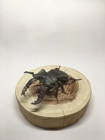 Lucanus Maculifemoratus