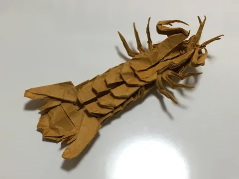 Mantis shrimp
