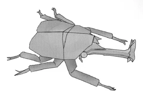 Samurai helmet beetle