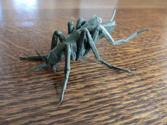 Mosquito