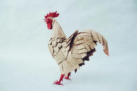 Rooster