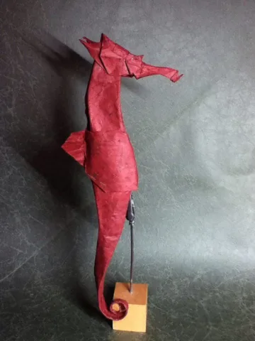 Seahorse