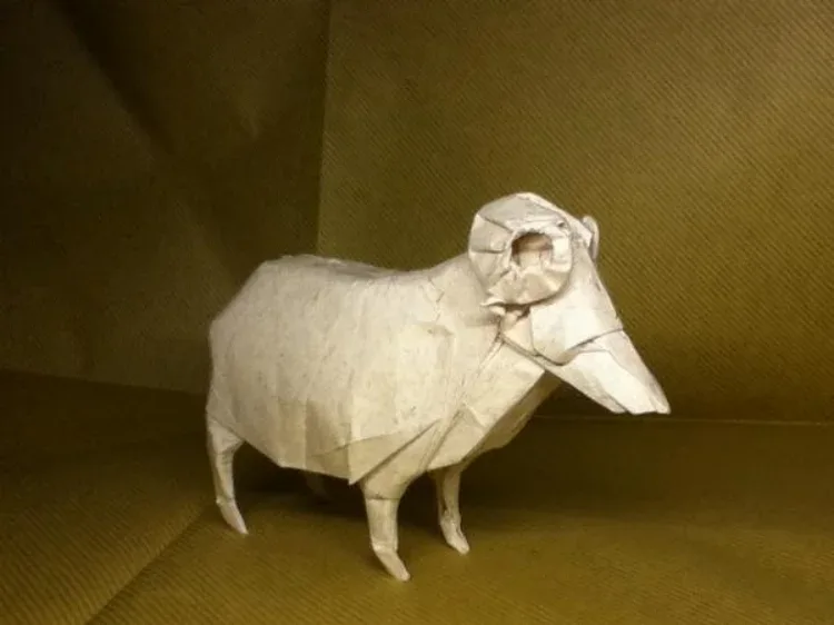 Sheep