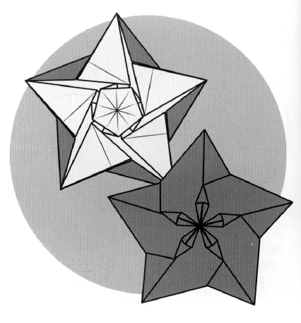 2 sided sakura star