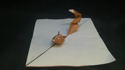 Fox Swimming