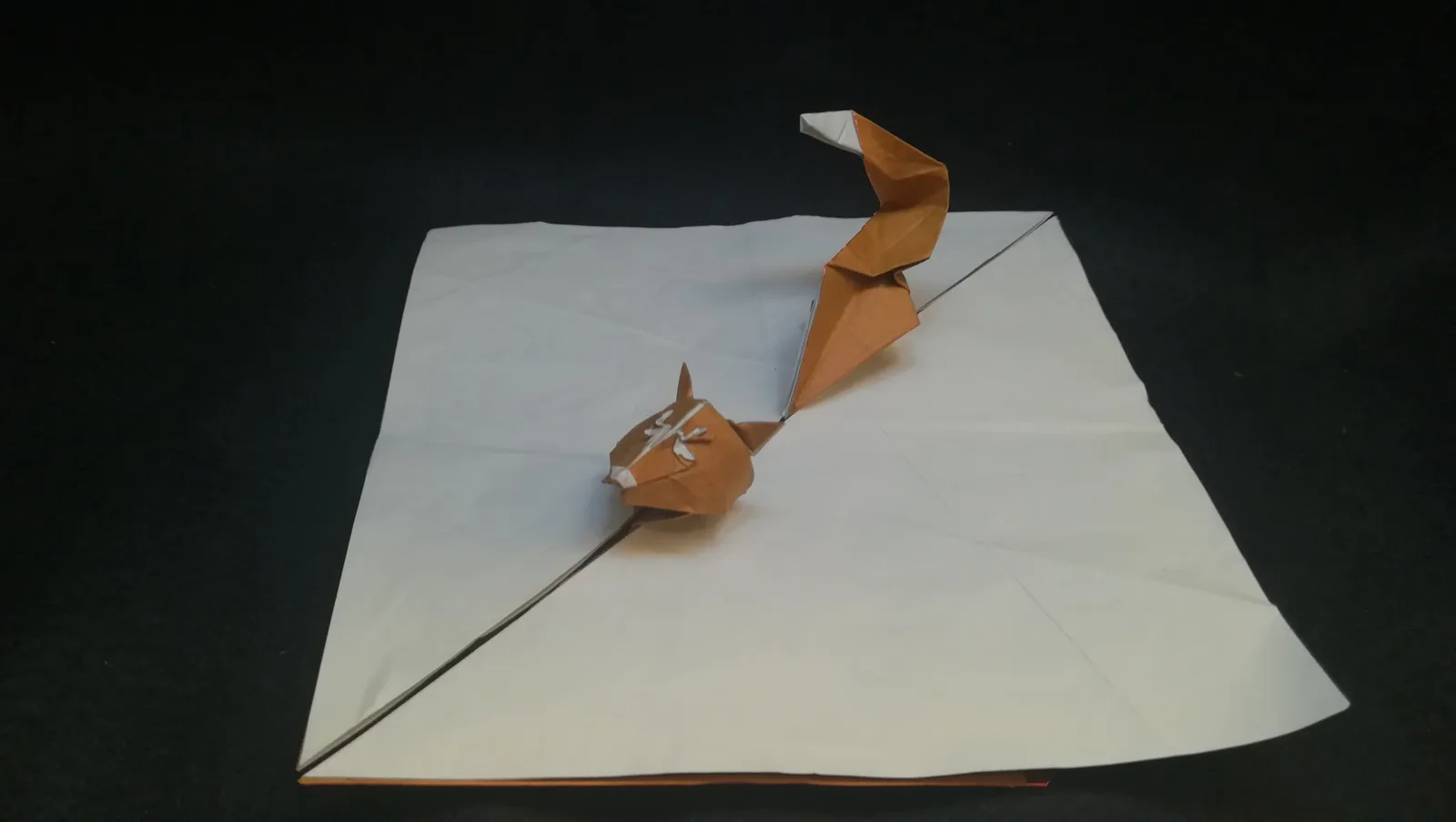 Fox Swimming