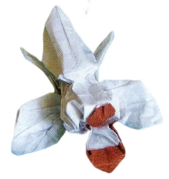 Cadetia Collina