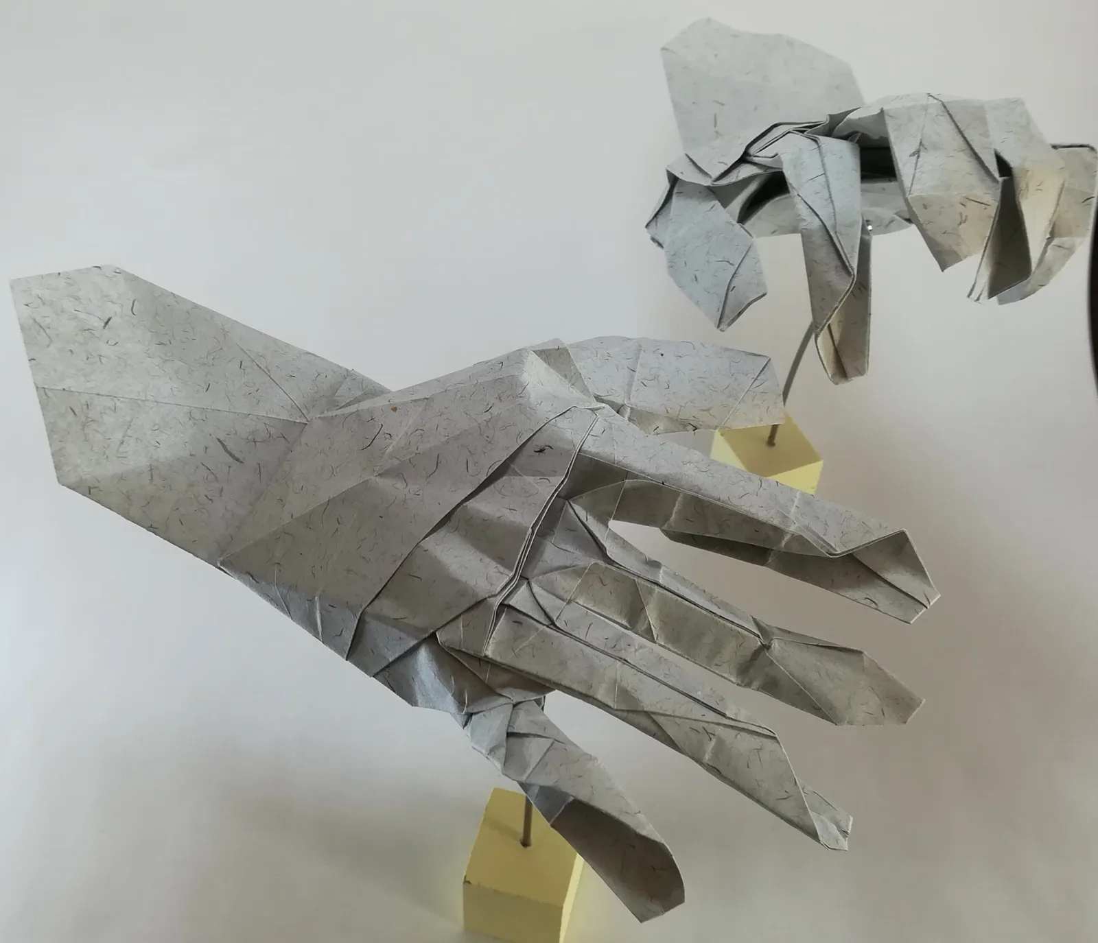 Hand