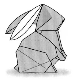 Rabbit baby