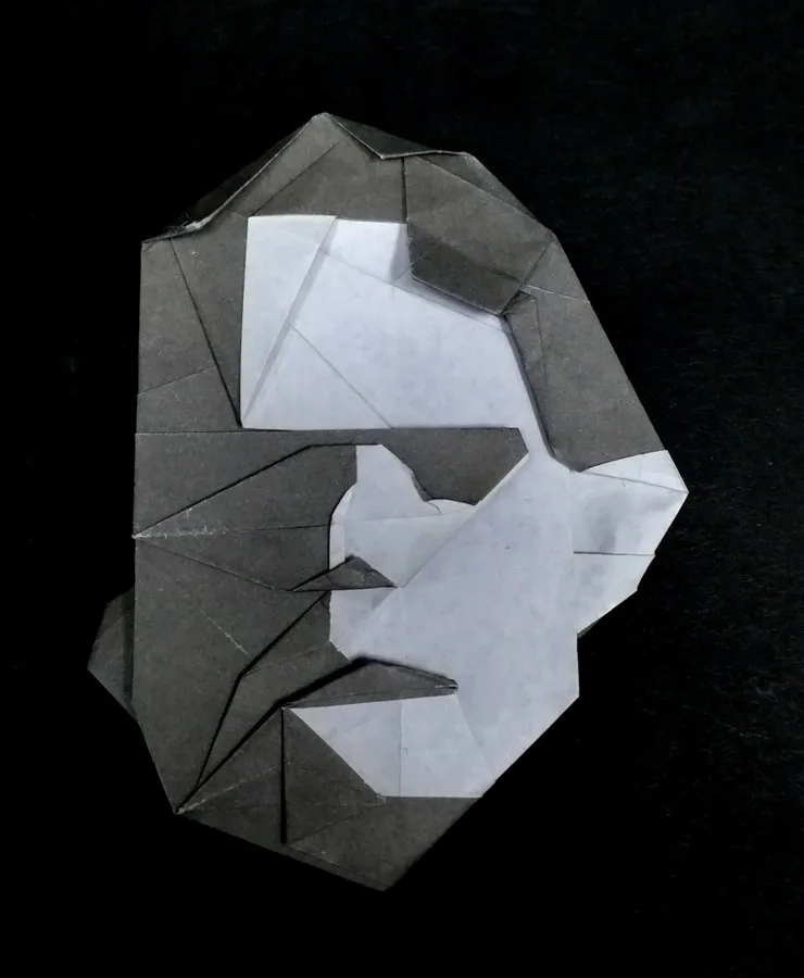 Susumu Hirasawa face