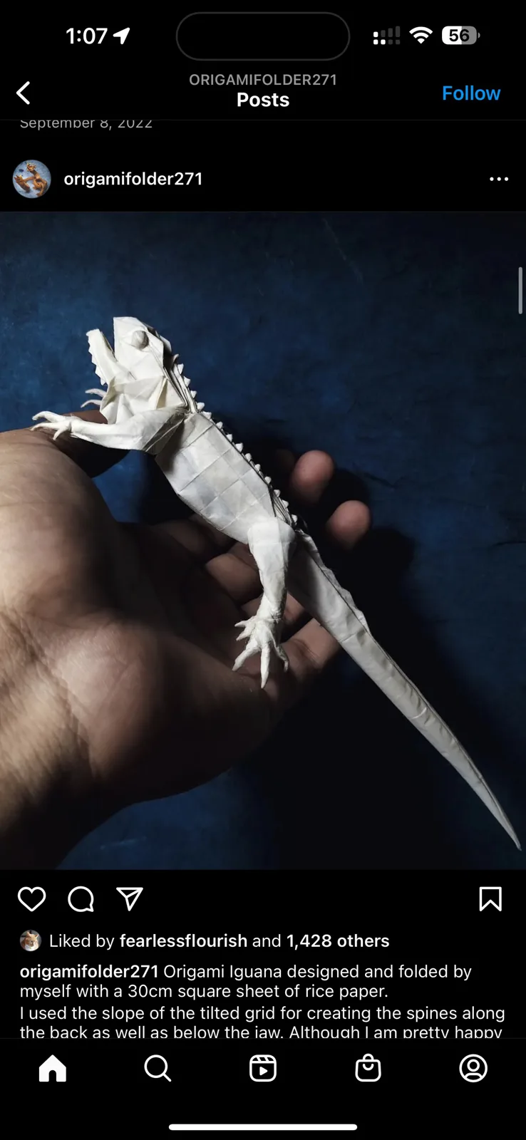 Iguana