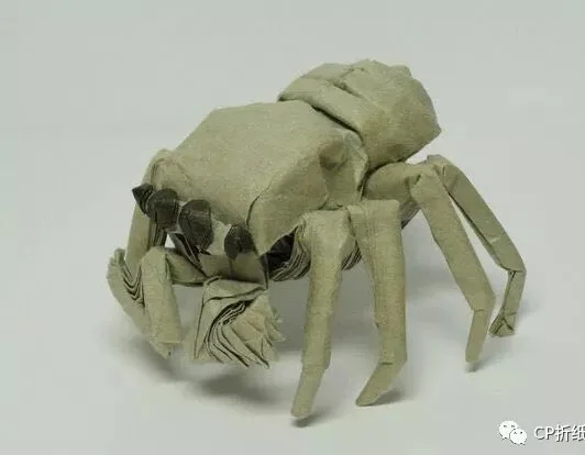Jumping Spider (PD)