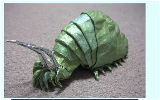 King Insect