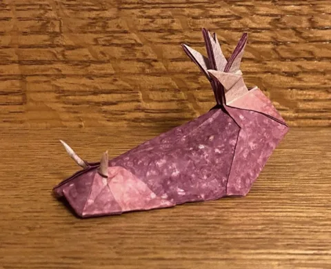 Dorid nudibranch v2