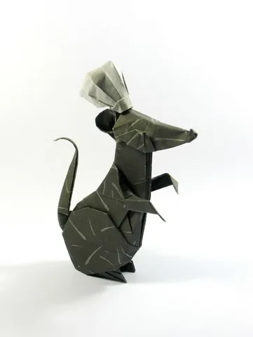 Chef rat