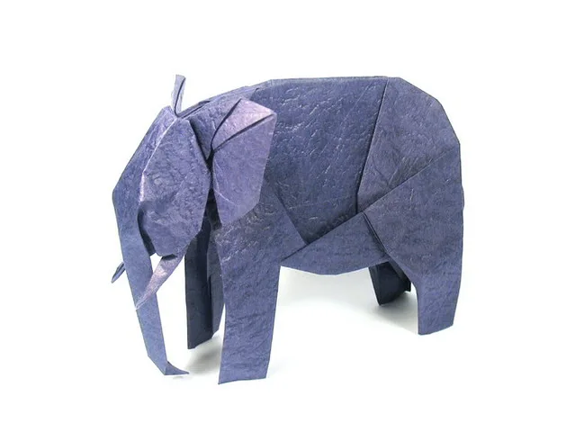 Elephant