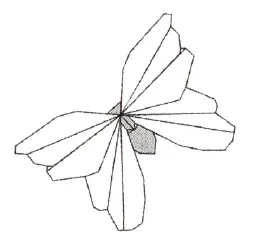 Butterfly 1