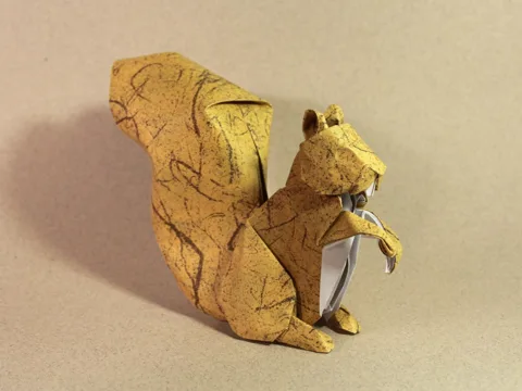 Squirrel