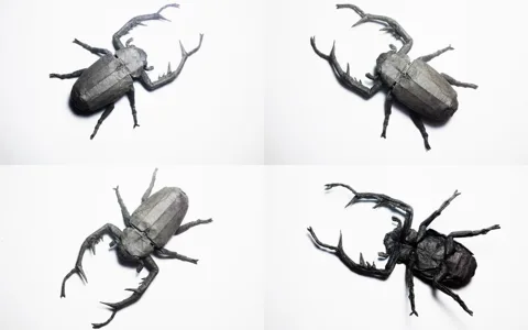 Cheirotonus Battareli