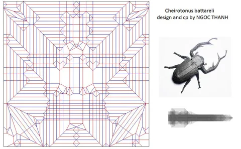 Cheirotonus Battareli — паттерн